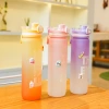 H164-HY-089 gradient color water cup, cross-border high-temperature resistant frosted direct drinking creative portable trendy water cup for men and women Specification image